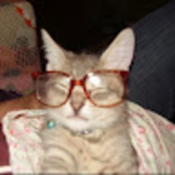 silly_kitty50